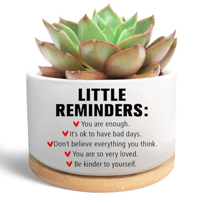 Office Desk Shelf Decor, Funny Succulent Plant Pot (Plants Not Included) - style: Office-Little reminder