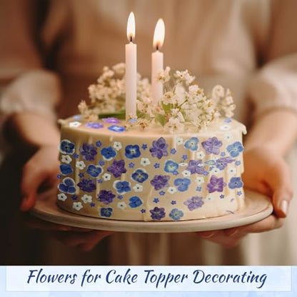 96 Pcs Pressed Edible Flowers, Blue, Flower Style | Natural Dried Flowers for Cake Topper Cupcake, Cocktails Garnish, Resin Jewelry DIY, Soap, Candle Making Art Crafts - color: Blue, style: Flower Style