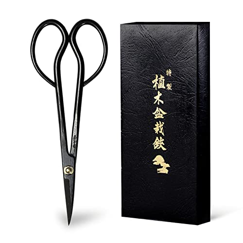 Wazakura Satsuki Bonsai Scissors, Made in Japan 7 inch (180 mm), Japanese Bonsai Garden Tools, Hasami Pruning Shears - Satsuki Style, Black - color: Satsuki 7"