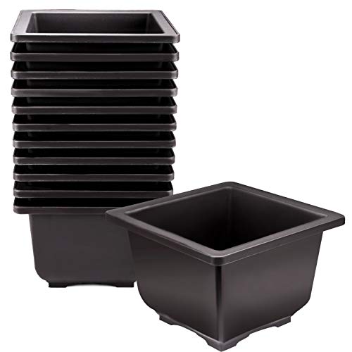 KINJOEK 15 PCS 5.1 Inch Plant Pot, Square Plastic Bonsai Training Pots, Flower Succulent Pots Container for Garden, Indoor, Home Decorative - size: 5.1 x 5.1 x 3.7 Inch