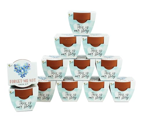 BUZZY Seeds Forget-Me-Not Grow Kit 12-Pack, Terracotta Pots, Love Set - color: Forget-me-not