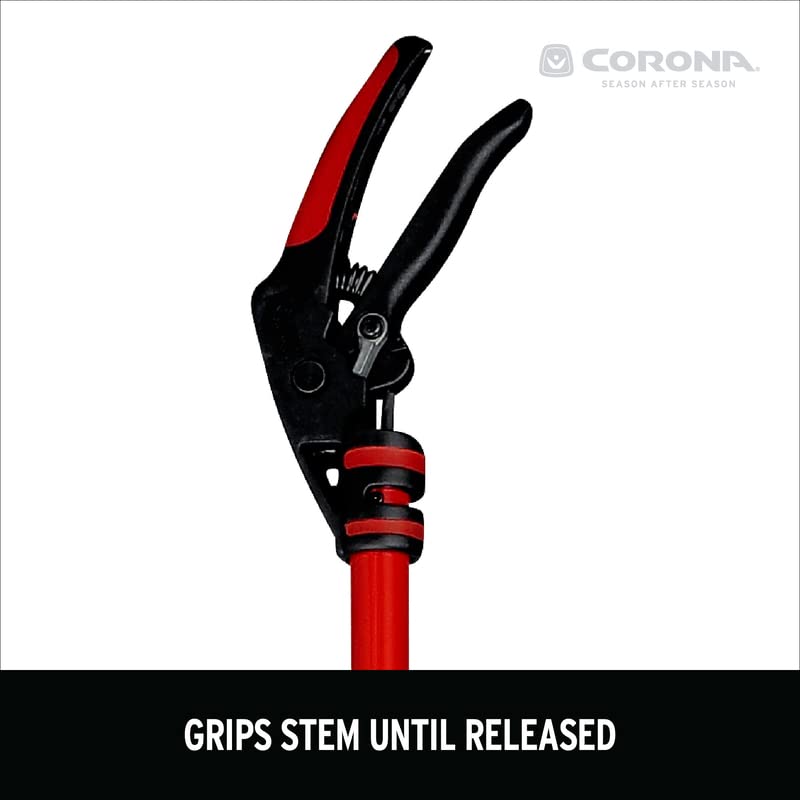 Corona CORONA-7015575, 46-Inch, Red