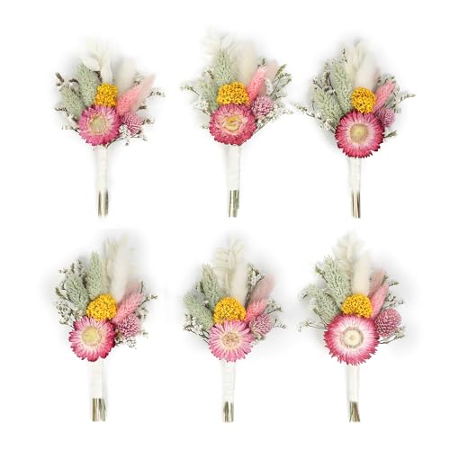 Mini Dried Flower Bouquet (Set of 6) for Handmade Craft Decorations and Boutonnieres for Groomsmen and Groomsmen. (Burgundy) - color: Burgundy