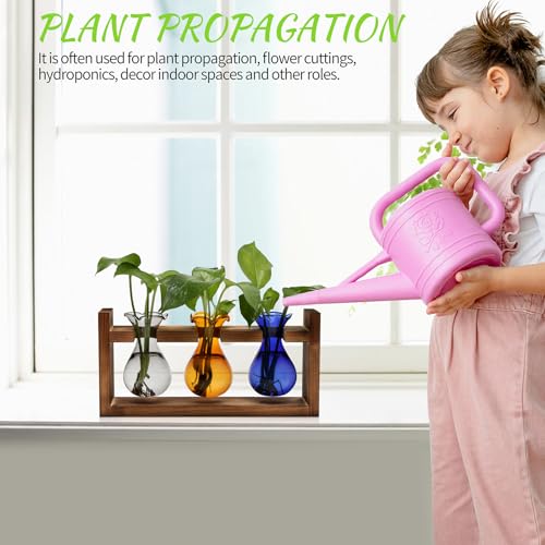 Plant Propagation Station Plant Terrarium Unique Birthday Gifts for Women - color: Color03