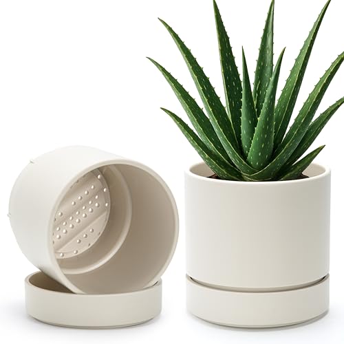 Phoenix Vine 6 Inch Planter Pot with Drainage Hole & Saucer, Deep Water Catch Tray, Straight Cylindrical Round Pot for Plants, Oatmeal, Pack of 2, 23-E-S-2 - color: Oatmeal, size: 6" (2 Pack)