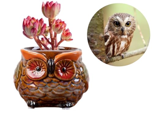 Animal Shaped Planter Flower Pot Owl Shape Small Succulent pots with Drainage Ceramic Animal Planter, Indoor Plant Container Planter with Drainage Hole Home Office Desk Garden (Red Owl) - color: Red Owl