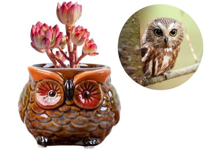Animal Shaped Planter Flower Pot Owl Shape Small Succulent pots with Drainage Ceramic Animal Planter, Indoor Plant Container Planter with Drainage Hole Home Office Desk Garden (Red Owl) - color: Red Owl
