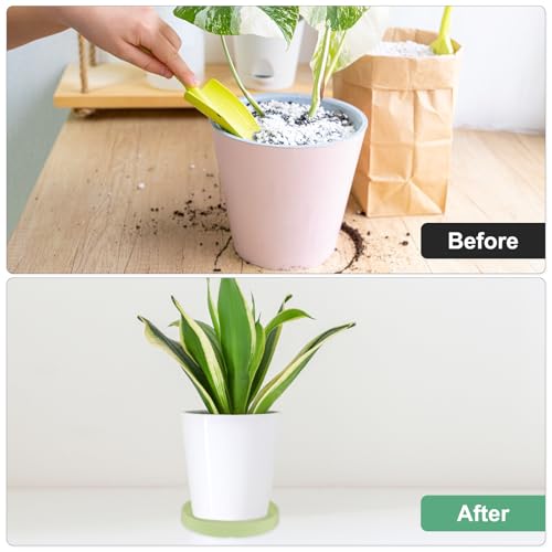 M METERXITY Ceramic Plant Saucer, 6.3 Inch Plant Water Catcher Tray, Plant Pot Saucers for Indoor/Outdoor Plants/Flower Drainage Drip Water Tray [Round Matcha Green] - color: Matcha Green