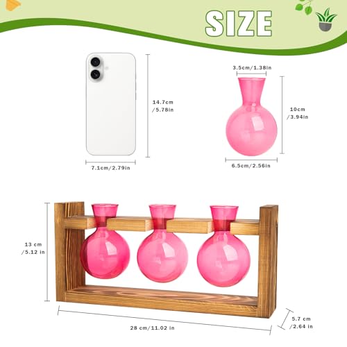 XXXFLOWER Plant Terrarium Jar Propagation Station Stand 3 Pink Bulb Vases - color: Pink