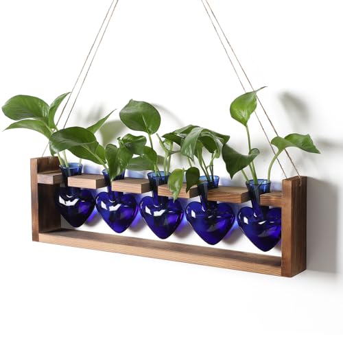Plant Terrarium Hanging Propagation Stations Gift for Women - color: Blue