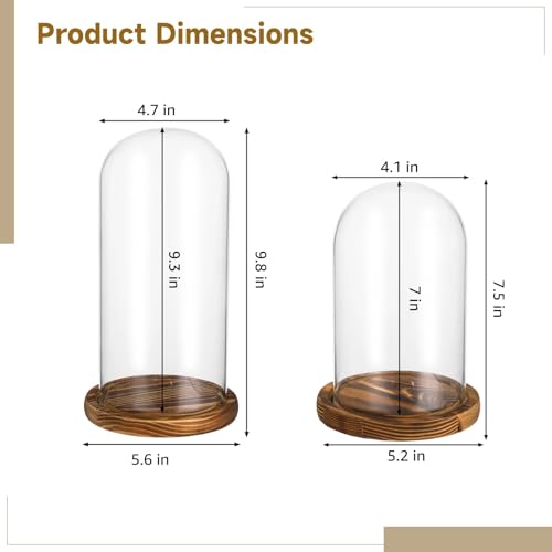 2 PCS Glass Cloche Display Dome with Wooden Base, 7.5/10 Inch Glass Display Cloche Dome, Clear Glass Dome Showcase for Flowers, Art Pieces, Collectibles, Keepsakes, Home Office Decor (2PCS)