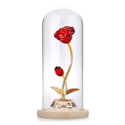 Hipiwe Glass Flower Display Dome Cloche with Wooden Base - Clear Cloche Bell Jar Display for Plants Collectibles Action Figures,Home Decor,3.9x9.8 inch - size: 3.9 x 9.8 Inch