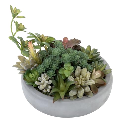 MyGift Artificial Succulent Arrangement in Round Gray Cement Planter Pot - color: Dark Grey