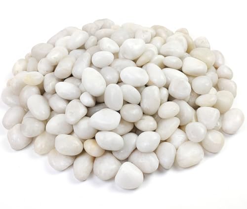 White Pebbles for Indoor Plants, Natural Polished River Rocks, Small Decorative Stones for Planters Vase Fish Tank Aquariums Landscaping Garden, 5lbs - color: White, size: 5 Pounds