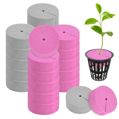 M METERXITY 20-Pack Cloning Collars Inserts, Hydroponics Sponge Systems Cloning DIY Foam Cloner Inserts Fits 2" Net Pots for Hydroponic/Clone Machines/Plant Germination [Grey, Rose Red] - color: Grey, Rose Red