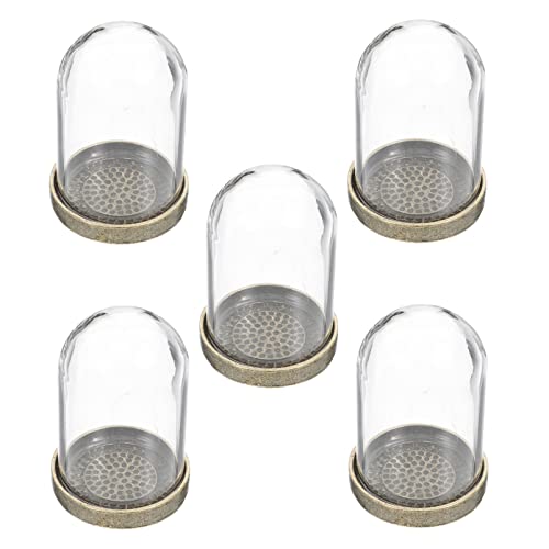 ARTIBETTER Square Glass Dome with Base Brass Tray Set for DIY Microlandscape Holder Enclosed Terrarium Plant Glass Display Decorative Cover for Home Tabletop Decor