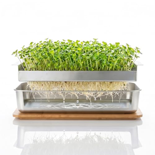 Microgreens Growing Kit – Stackable Stainless Steel Sprouting Tray with Wood Lid, Sprouts Growing Kit for Indoor Gardening in Small Spaces, Kitchen, or Windowsill – No Seeds Included