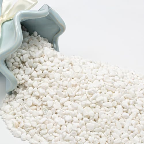 2 lbs Nature Gravel Pebbles, 1/5 Inch Succulent & Cactus Pea Gravel (White) - color: White, size: 2 Pounds