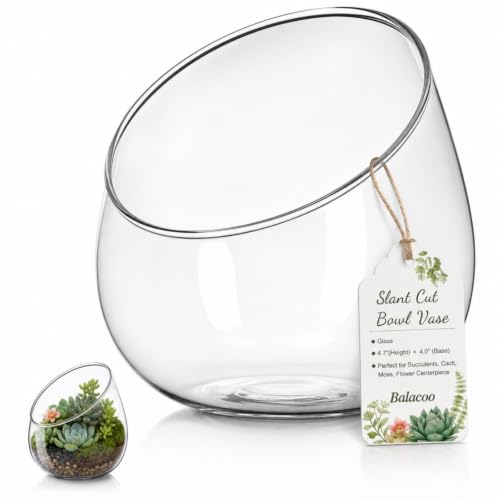Balacoo Plant Terrarium Container: Clear Glass Bowl Vase for Plants, Slant Cut Opening Terrarium for Succulents, Moss Micro Landscape Bottle for Home Decor, 4.7 Inch