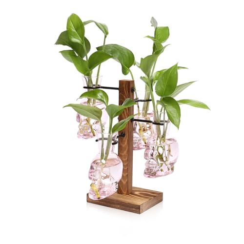 Plants Propagation Stations Skull Glass Propagation Birthday Gift for Women - color: Pink