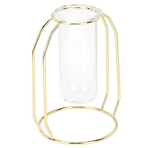 Hydroponic Plant Vase, Transparent Glass Flower Pot with Ventilation for Mint Scindapsus Hydrocotyle Vulgaris, Modern Home Decor (Gold) - color: Gold