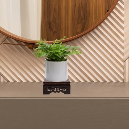 Cabilock Solid Wood Plant Pot Riser 3.14 X 3.14 X 1. Square Base Stand for Indoor Pots Buddha Statues Bonsai Flower Pot Holder Home Decor
