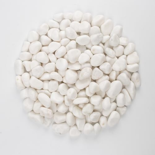 10 lbs White Polished Decorative Stones, 0.5-1 Inch Landscape Rocks for Indoor Plants, Garden, Outdoor Pathways, Vase Fillers, Pots, Glass Containers, and Craft Pro (Pure White, Weight: 10 LB) - color: Pure White, size: Weight: 10 LB