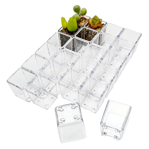 24pcs Super Tiny Mini Clear Plastic Planter, 1.1" Small Succulent Nursery Pots with Drainage Hole, Micro Plants Pots for Roots Viewing, Home Potting, DIY Landscaping, Office/Window Sill Decor - color: 24pcs Flowerpots