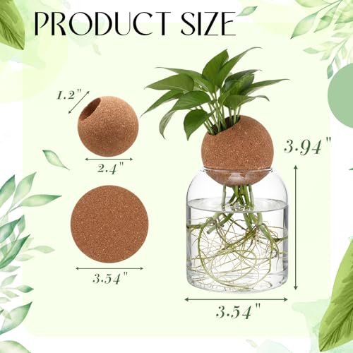 3 Pcs 3.94 Inches Glass Plant Propagation Stations with Spherical Lid Glass Jars Plant Propagation Vases Hydroponic Spherical Cork Planter for Indoor Home Office Desktop Decor(Cylinder) - size: 3.94 Inches, style: Cylinder