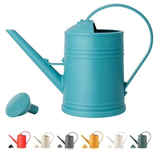Watering Can for Indoor Plants, Flower Watering Can, Plastic Water Can for Plants, Indoor Watering Can with Sprinkler Head 68 oz, 1/2 Gallons - color: Blue