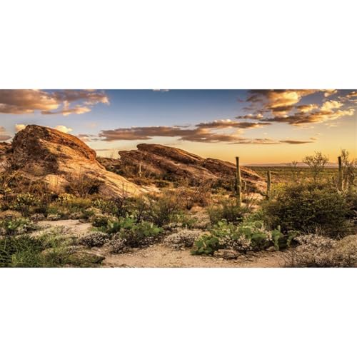 48x18 in Desert Reptile Habitat Backdrop Oasis Cactus Terrarium Background | AWERT Blue Sky Sunset Desert Landscape Durable Polyester Background - size: 48x18 inches