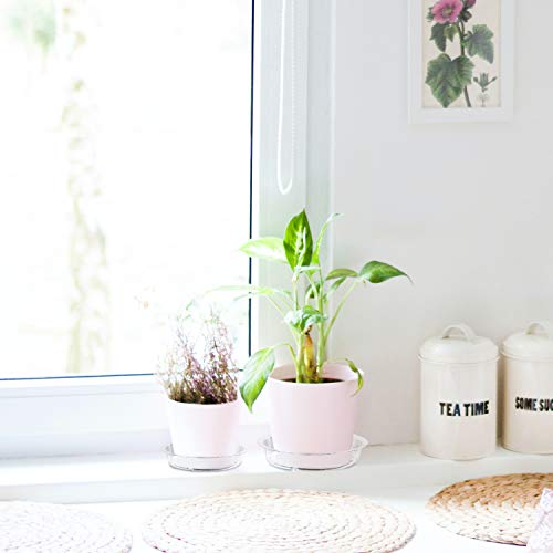 Rocutus Plant Saucer,20 Pack Plastic Plant Saucer Drip Trays Small Plant Plate Dish,Heavy Duty Clear Plastic Plant Saucers Flower Pot Tray Flower Pot Drip Pan for Indoor and Outdoor Plants (6 Inch) - size: 5.6 Inch