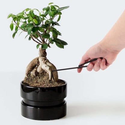BambooMN Root Pick - Red - 1 Unit - color: 1pc Root Pick set