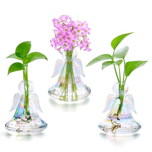 XXXFLOWER Plant Propagation Station Angel Glass Terrarium - size: 3 Angel