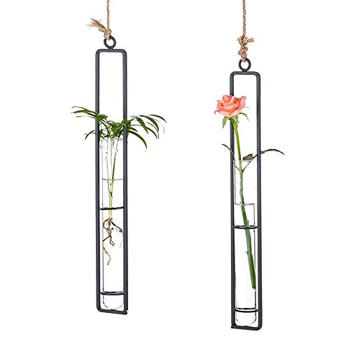 Sziqiqi Hanging Clear Glass Propagation Tube Vase for Cuttings, Hydroponic Plant Propagation Home Balcony Floral Container Wall Decoration Black 2ps (L+L) - color: Black, size: Large (Set of 2)