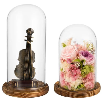 2 PCS Glass Cloche Display Dome with Wooden Base, 7.5/10 Inch Glass Display Cloche Dome, Clear Glass Dome Showcase for Flowers, Art Pieces, Collectibles, Keepsakes, Home Office Decor (2PCS)