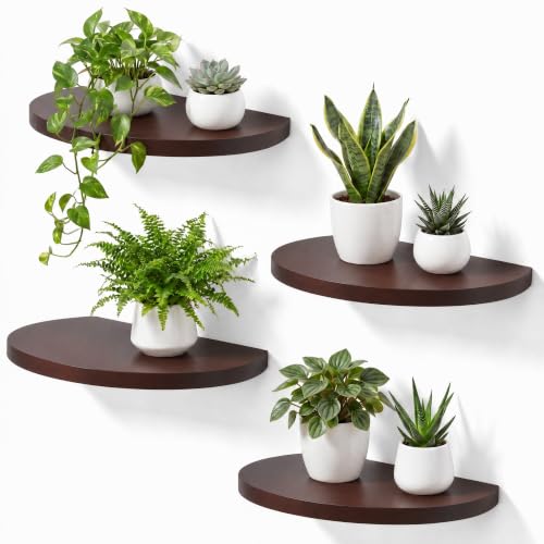 10-inch Round Wood Floating Shelves, 4-Pack Wall Mount Display | Sturdy invisible wall mount, Dark Walnut finish, ideal for small plants, toys, bathroom, living room storage rustic decor - color: Dark Walnut, size: 10 Inch-4 Pcs