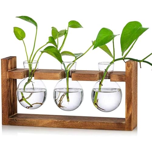 Glass Plant Terrarium - 3 Bulbs Propagation Station with Retro Wood Stand Indoor Garden Planter, Bulb Vase & Desktop Decor for Home Kitchen Wedding, Gift for Women & Plant Lover