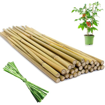 [32 Pcs] Garden Stakes, 18 Inches Natural Bamboo Plant Stakes, Plant Support Stakes with Twist Ties, Bamboo Sticks for Tomatoes, Beans, Flowers, Potted Plants, Indoor and Outdoor Climbing Plants - size: 1.5 Ft, 32 Pack
