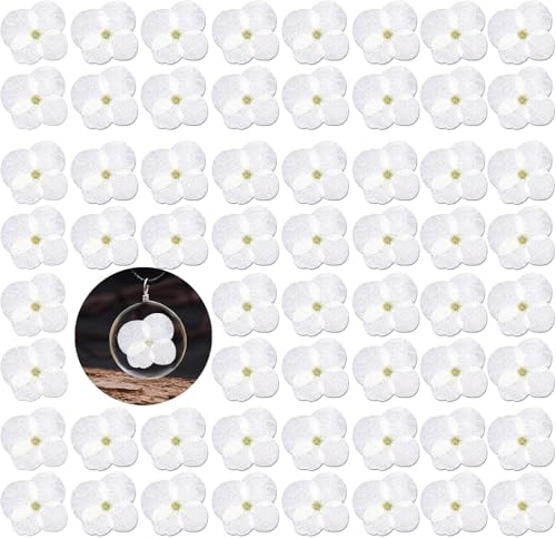 HEISENLIN 60PCS White Natural Hydrangea Dried Flowers for Resin Crafts, Real Pressed Flowers for Resin DIY Jewelry Candle Soap Vase Making Card Scrapbook Art Craft Floral Decors - color: Hydrangea-White