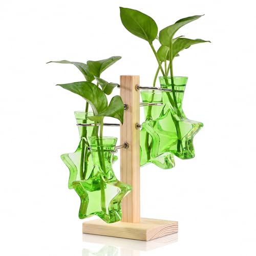Plant Terrarium Propagation Stations: Greeen Vase with Wooden Stand | Clear Glass, Star Shaped, Home Table Decor, Birthday Gifts for Plant Lovers Women Mom Wife - color: Green