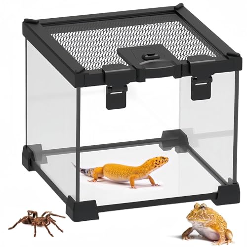 Mini Reptile Glass Terrarium Tank,8"x8"x6" Small Reptile Enclosure Cage | Full View Geckos Enclosure Tank Habitat Cage for Frog Snake Tarantula Isopods Hermit Crab Snail Insects Turtle