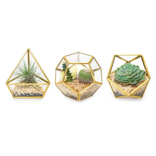 Mkono 3 Pack Geometric Glass Terrarium, 4" Gold Air Plant Holder Tabletop - color: Gold