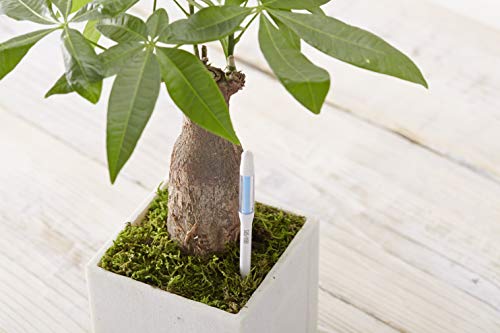 Sustee Aquameter, Set of 5, Plant Soil Moisture Sensor (White, Medium) - size: Medium