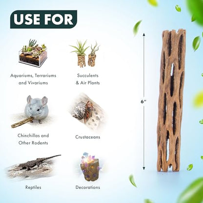 Natural Cholla Wood - Driftwood for Aquariums, Air Plant Base, Hermit Crab and Freshwater Shrimp Hideout, Fish Tank Decoration, Chinchilla Chews, Reptile Habitat Wood - 6 Inch, 2pc - size: 6 inch (Pack of 2)