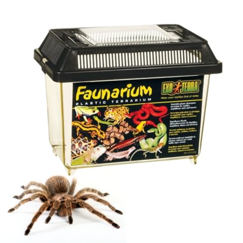Exo Terra Faunarium Small PT2255 - size: Small