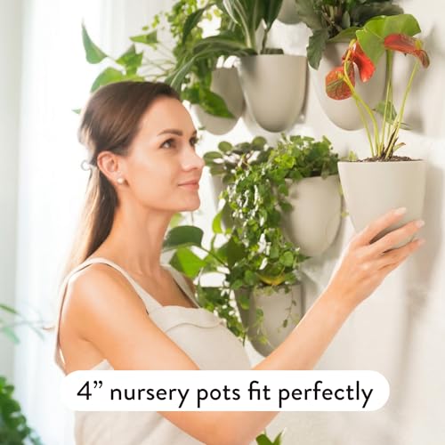 Make Good PlantPod Luxe - Self-Watering Wall Planters (Set of 6, Stone) - Easy to Water and Install - Lightweight - Design Your Own Vertical Garden - Wall Planters for Indoor Plants - color: Stone
