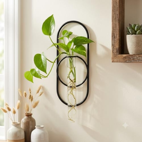 Sephra 10.25" Oval Wall Hanging Planter - Indoor Plant Propagation Station and Flower Vase - Modern Black Finish for Living Room or Home Office Decor - color: Black