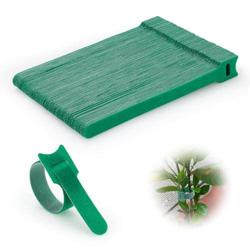 100 Pack Widened Reusable Plant Ties, Hook and Loop Green Garden Tapes & Straps, Soft and Connectable, for Outdoor Climbing Plants, Tomato Support, 0.6in Wide, 8in - color: 100pcs, 0.6in wide( 8in)