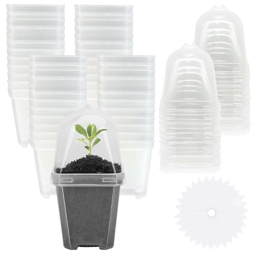 50 Pcs 3" Clear Plant Nursery Pot with Humidity Dome, Plastic Gardening Pot | Plastic Plant Container with Labels, Reusable Gardening Containers Cups for Seedlings Vegetables Succulents Cuttings - color: 50pcs-white, size: 3 Inch